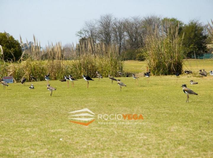 Terreno · 2000m²