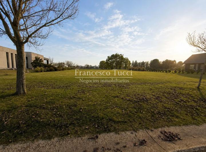 Terreno · 2000m²