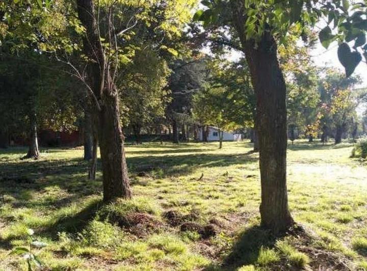 Terreno · 800m²