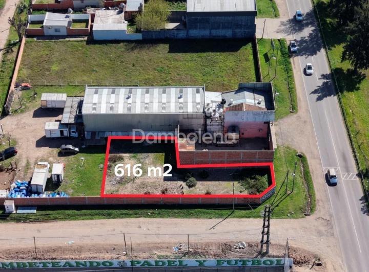 Terreno · 61600m²
