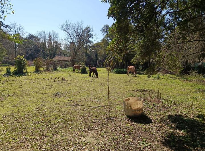 Terreno · 1935m²