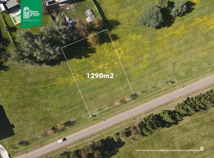 Terreno · 1290m²