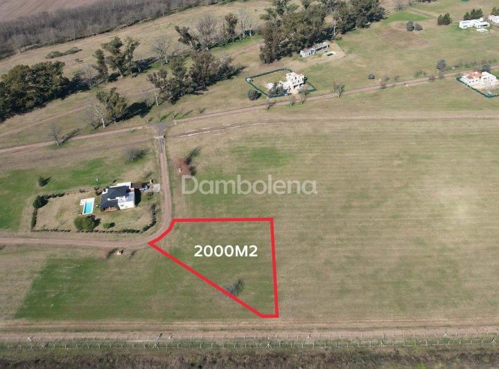 Terreno · 2000m²