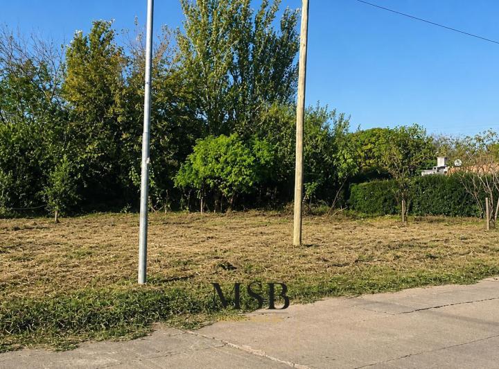 Terreno · 233m²