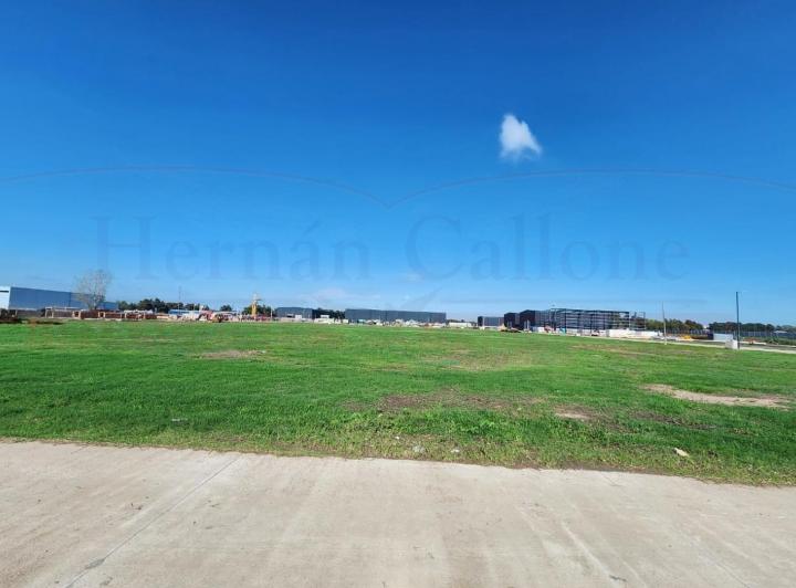 Terreno · 5000m²