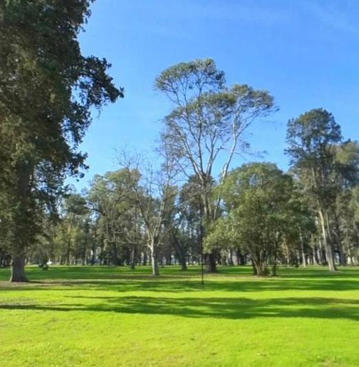 Terreno · 1349m²