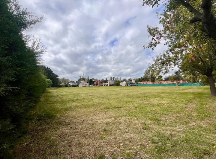 Terreno · 2000m²