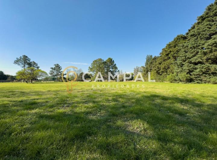 Terreno · 1705m²