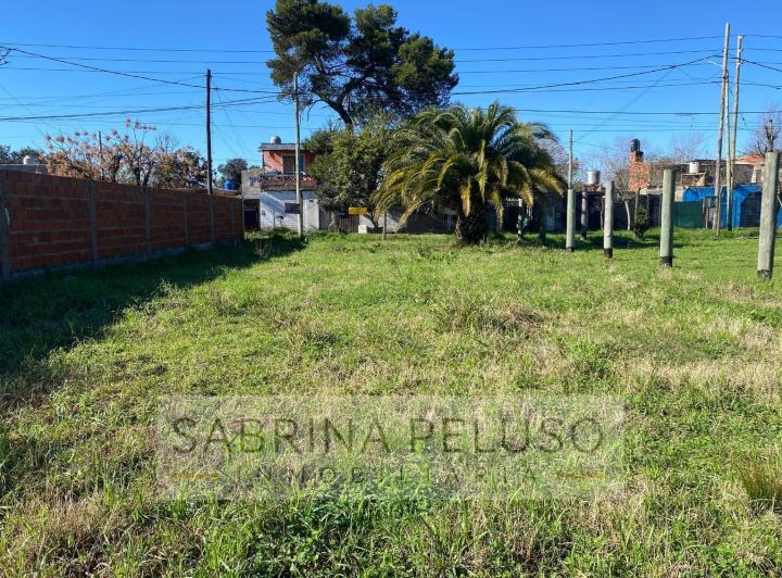 Terreno · 342m²