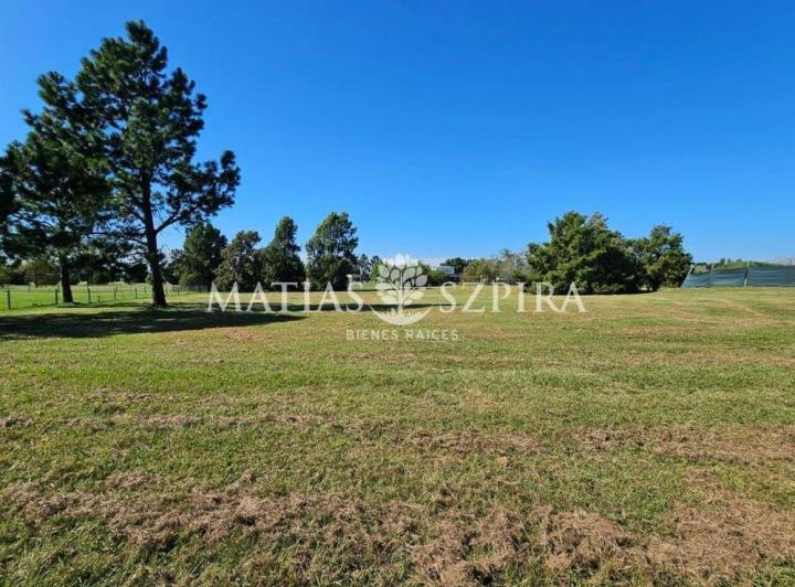 Terreno · 3890m²