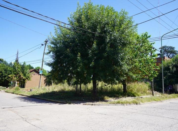 Terreno · 223m²