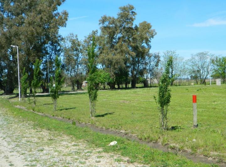 Terreno · 2000m²