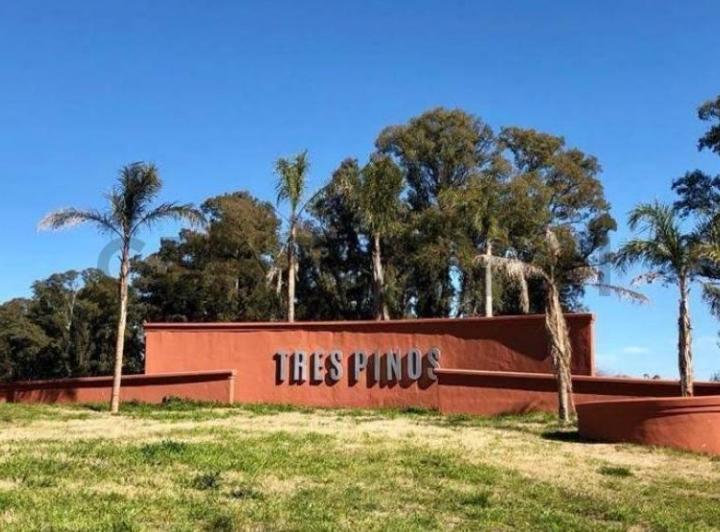 Terreno · 1000m²