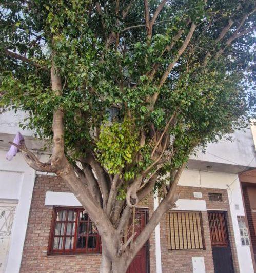 PH · 65m² · 3 Ambientes