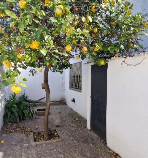 PH · 38m² · 2 Ambientes