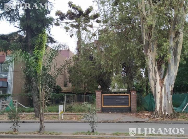 Local comercial · 100m²