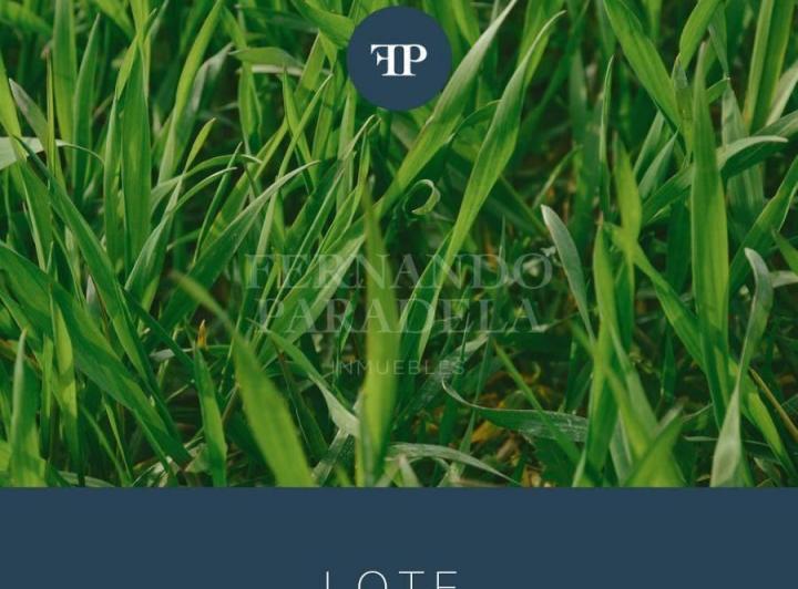 Local comercial · 1m² · 1 Ambiente