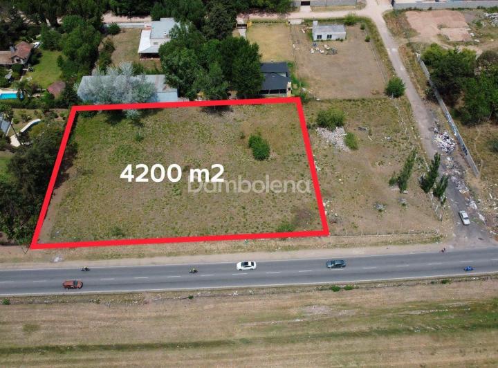 Terreno · 4200m²