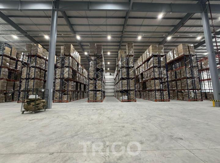 Bodega-Galpón · 5800m² · 6 Ambientes