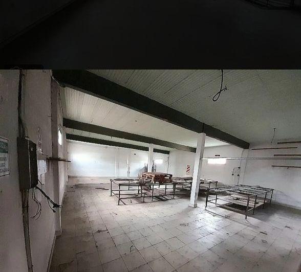 Bodega-Galpón · 1200m²