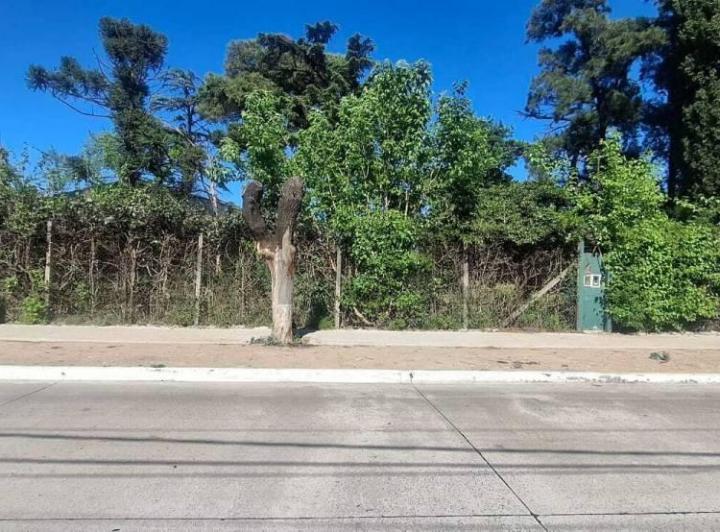 Campo · 100m² · 4 Ambientes