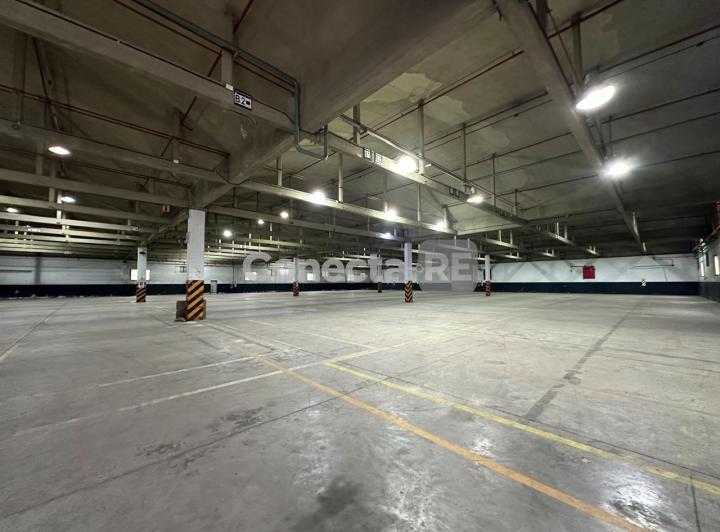 Bodega-Galpón · 2174m²