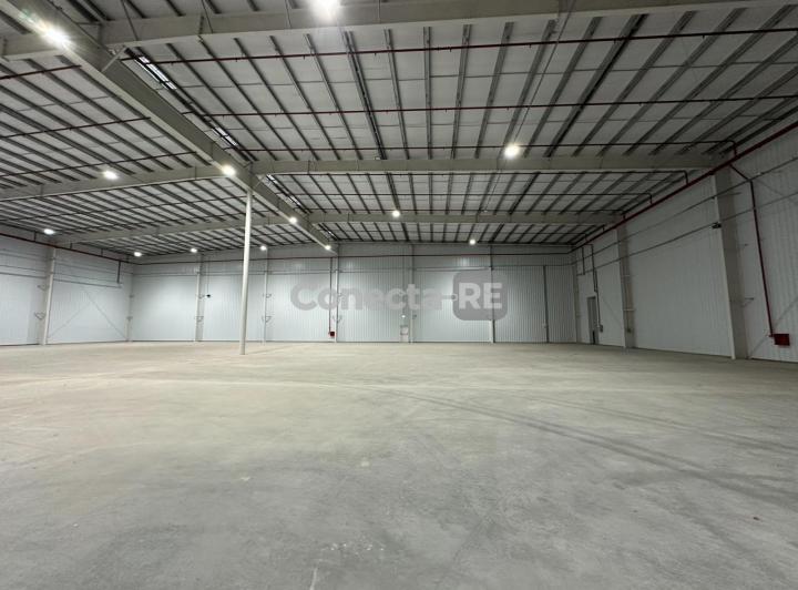 Bodega-Galpón · 9000m²