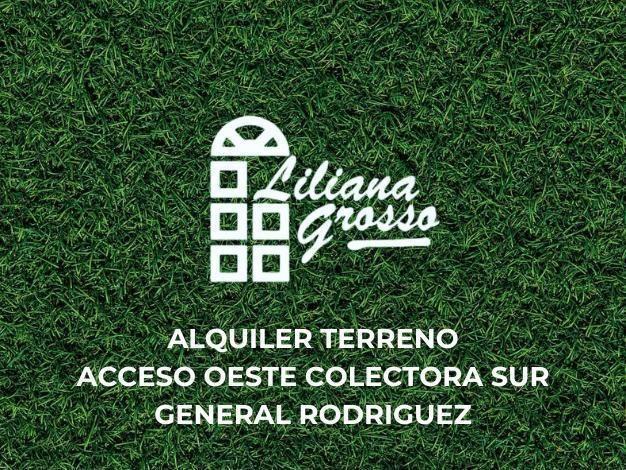 Terreno · 1623m²