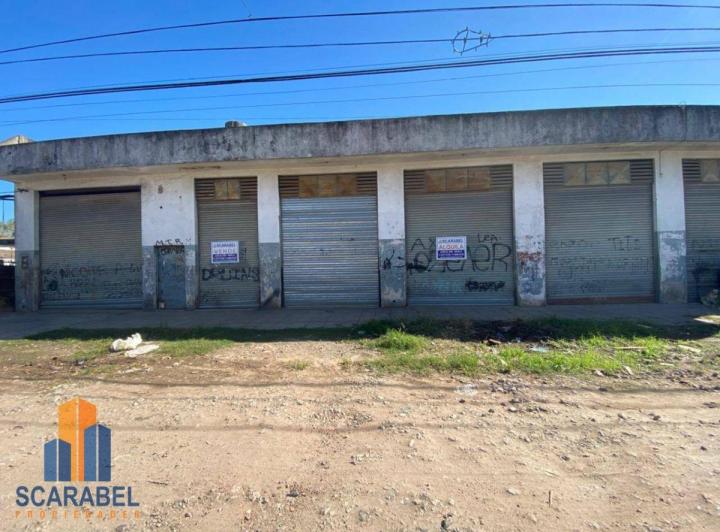 Bodega-Galpón · 250m²