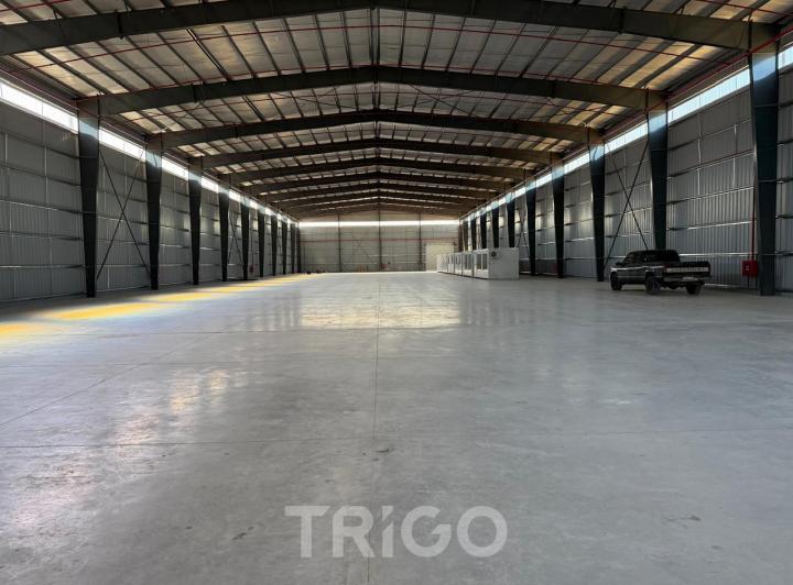Bodega-Galpón · 1000m² · 1 Ambiente