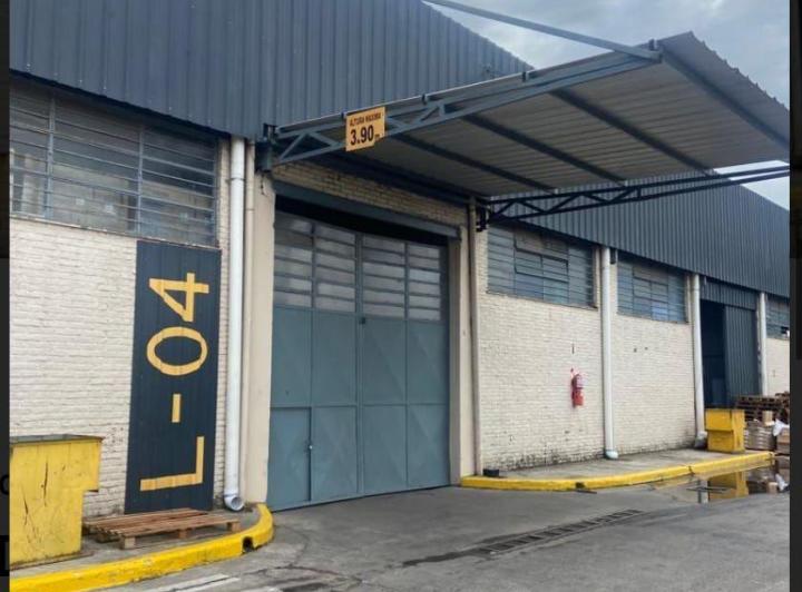 Bodega-Galpón · 600m²