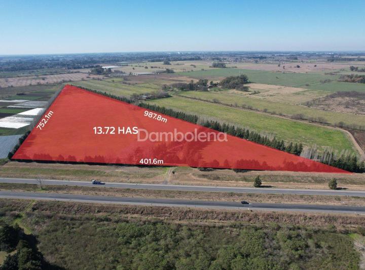 Terreno · 137293m²