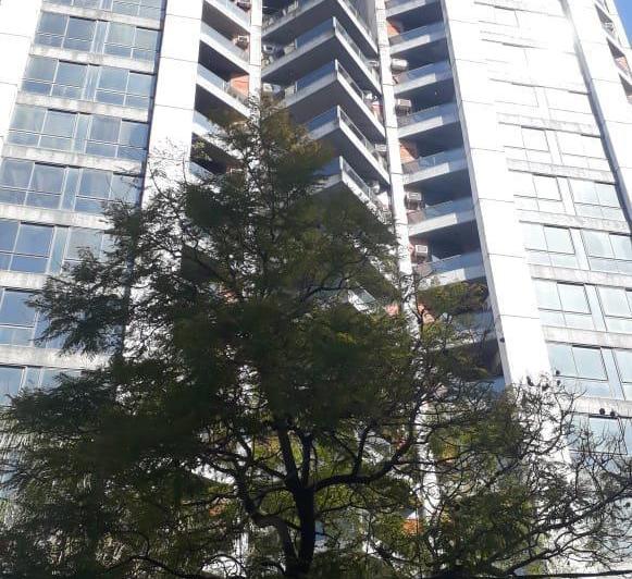 Oficina comercial · 56m² · 3 Ambientes