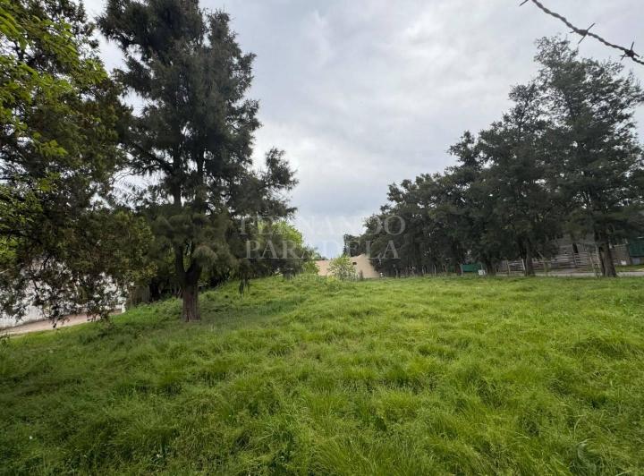 Terreno · 2462m²