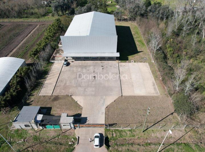 Bodega-Galpón · 1200m²