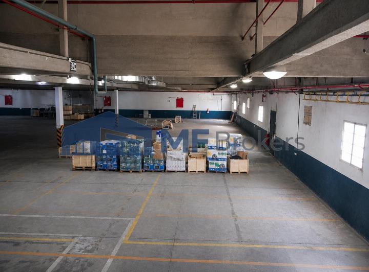 Bodega-Galpón · 1176m²
