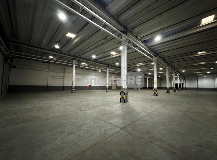 Bodega-Galpón · 5200m²