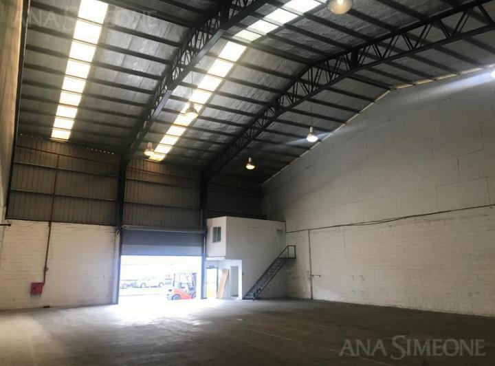 Bodega-Galpón · 450m²