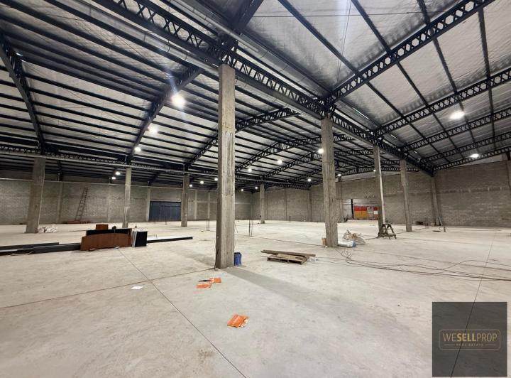 Bodega-Galpón · 6000m²