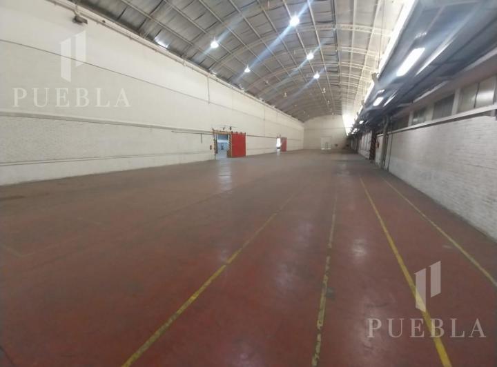 Bodega-Galpón · 3884m²