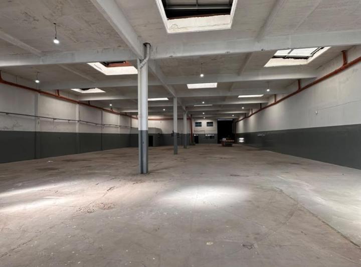 Bodega-Galpón · 1260m²