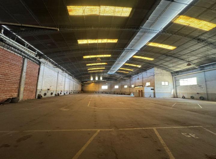 Bodega-Galpón · 1350m²