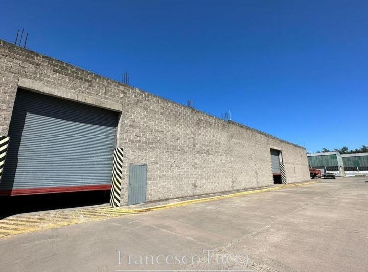 Bodega-Galpón · 1600m²