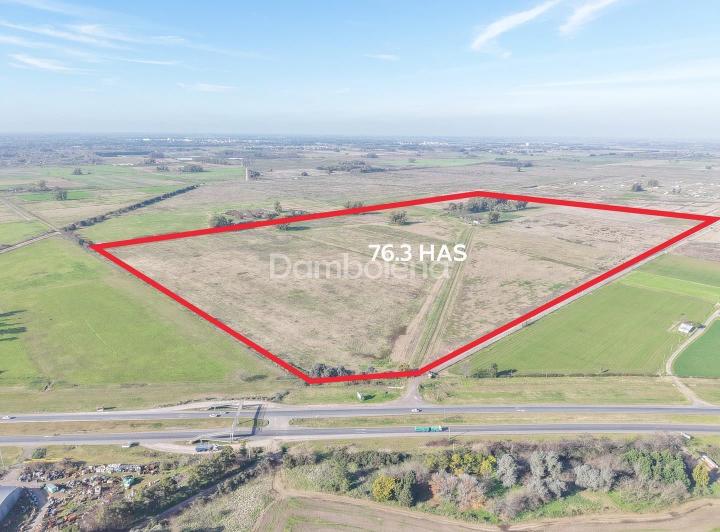 Campo · 76m²