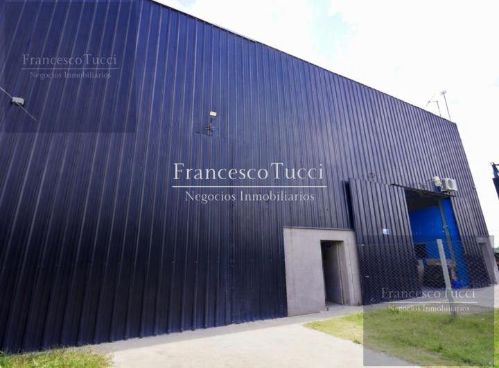 Bodega-Galpón · 300m² · 1 Ambiente