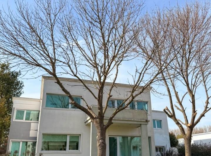 Casa · 600m² · 5 Ambientes · 4 Cocheras