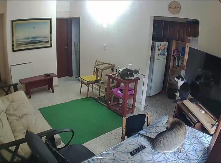 Departamento · 39m² · 2 Ambientes