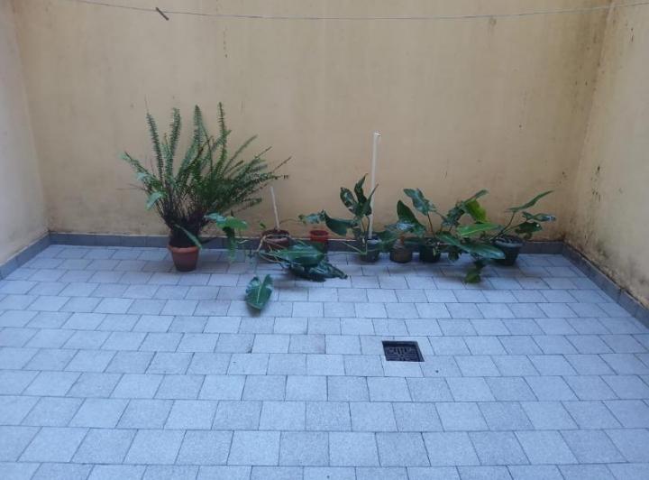 Departamento · 30m² · 1 Ambiente