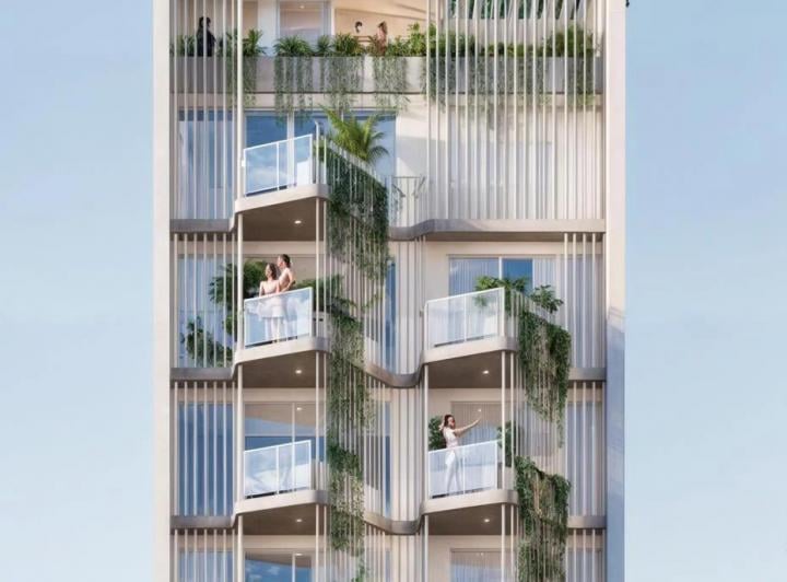 Desarrollo vertical