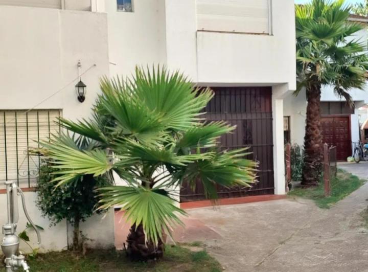 Departamento · 60m² · 3 Ambientes